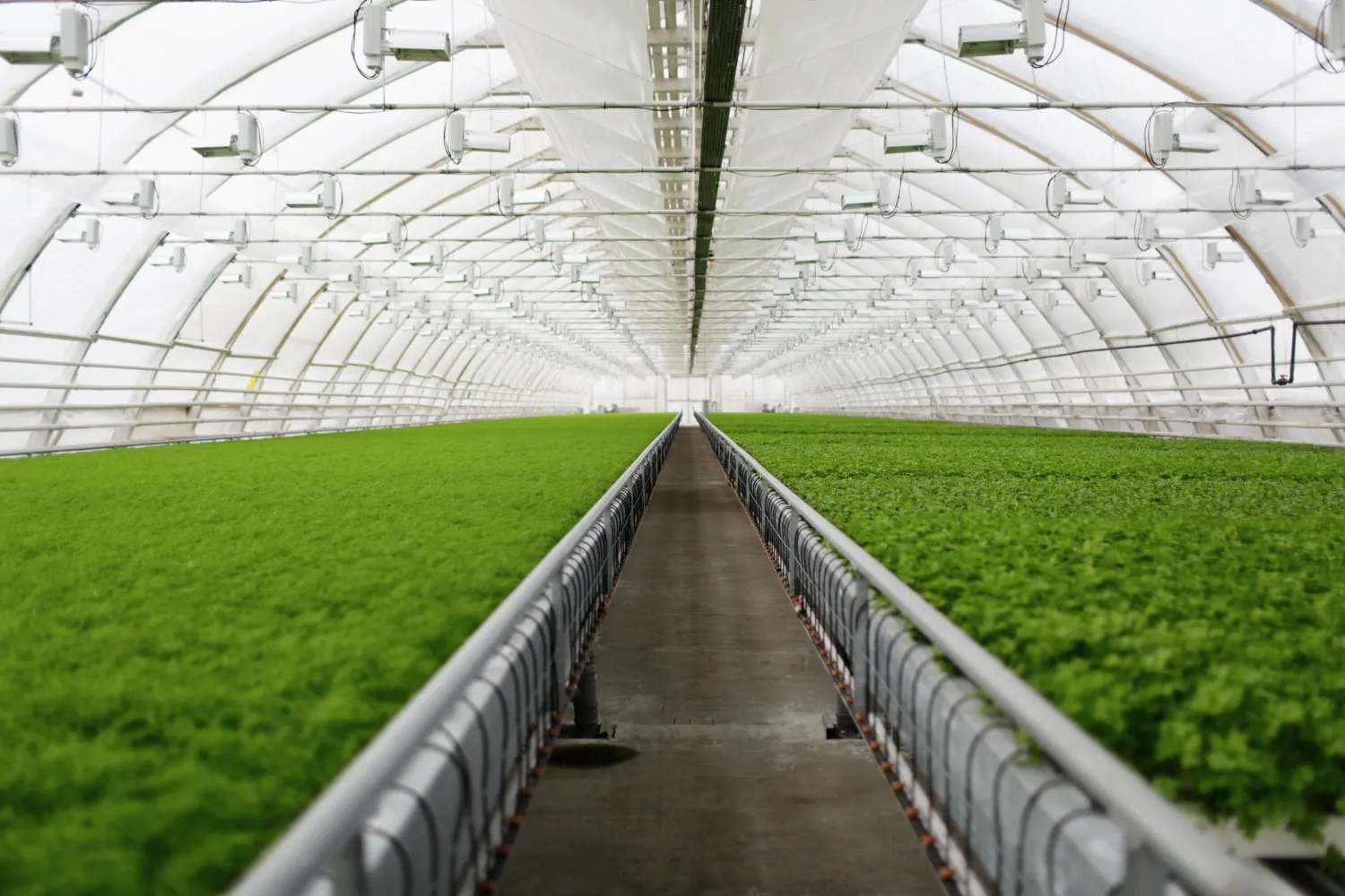 AgriTech