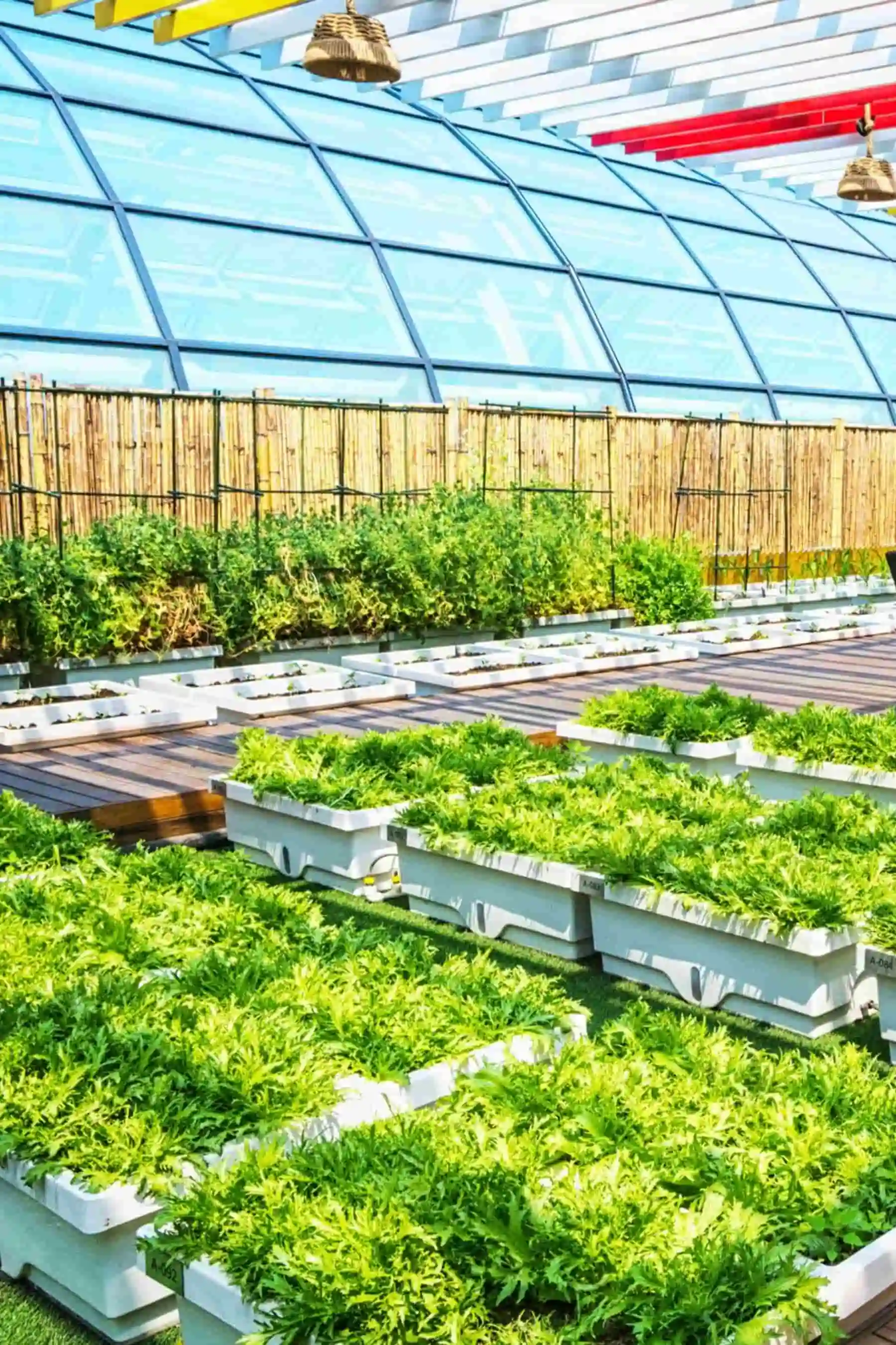 Smart Irrigation System