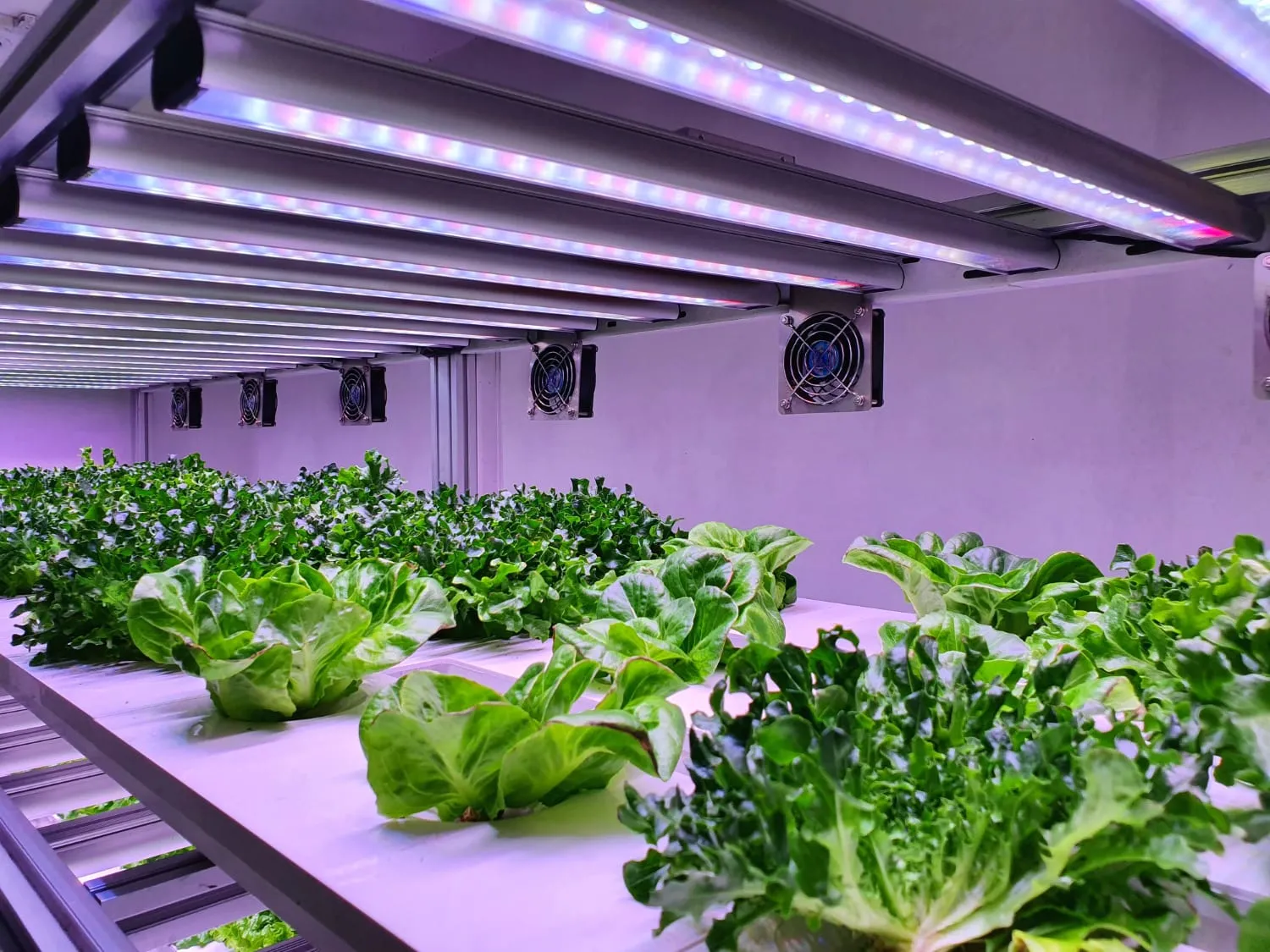 Automatic Nutrition Supply System